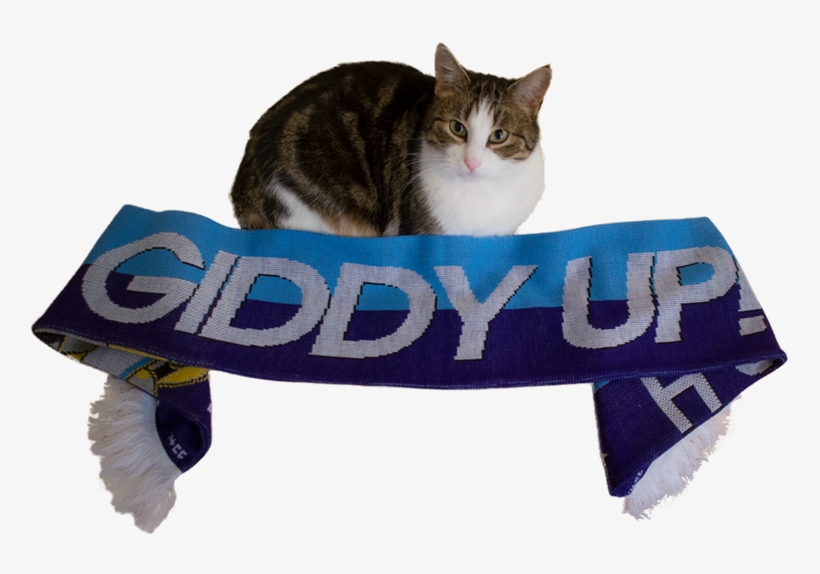 4chan Cup, 4chan Cup Scarf, Barely Pony Related, Cat, - Giddy Up Scarf, transparent png