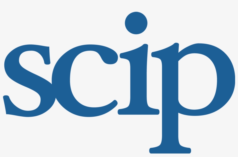 Sr Consultant, Competitive Intelligence Nationwide - Strategic And Competitive Intelligence Professionals, transparent png