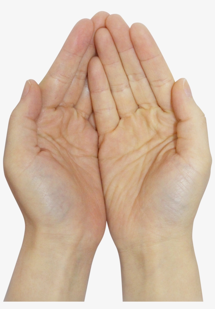 Praying Hands Image Purepng Free Transparent Image - Wood, transparent png