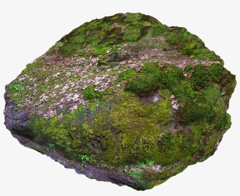 Report Abuse - Rock With Moss Png, transparent png
