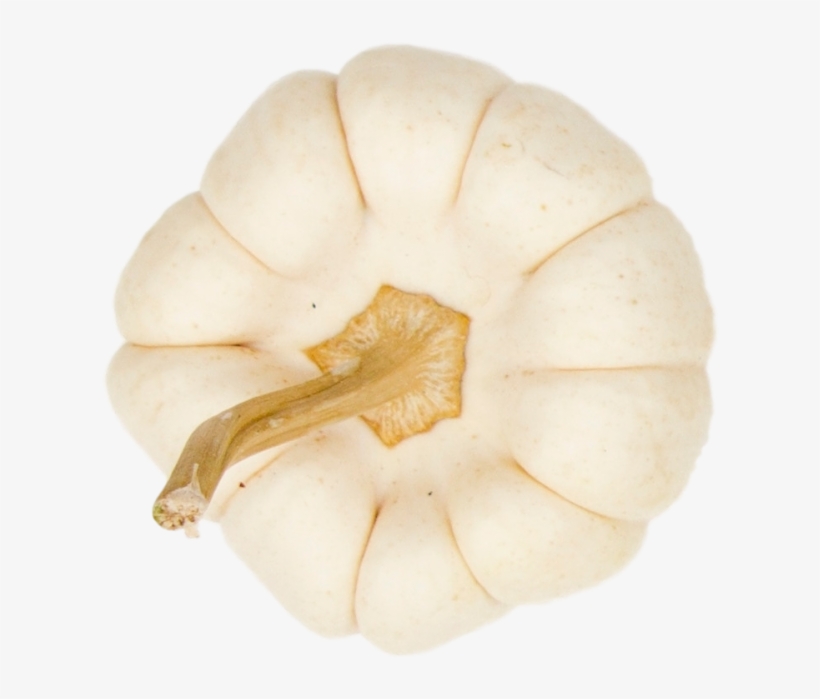 Pumpkin - Oyster Mushroom, transparent png