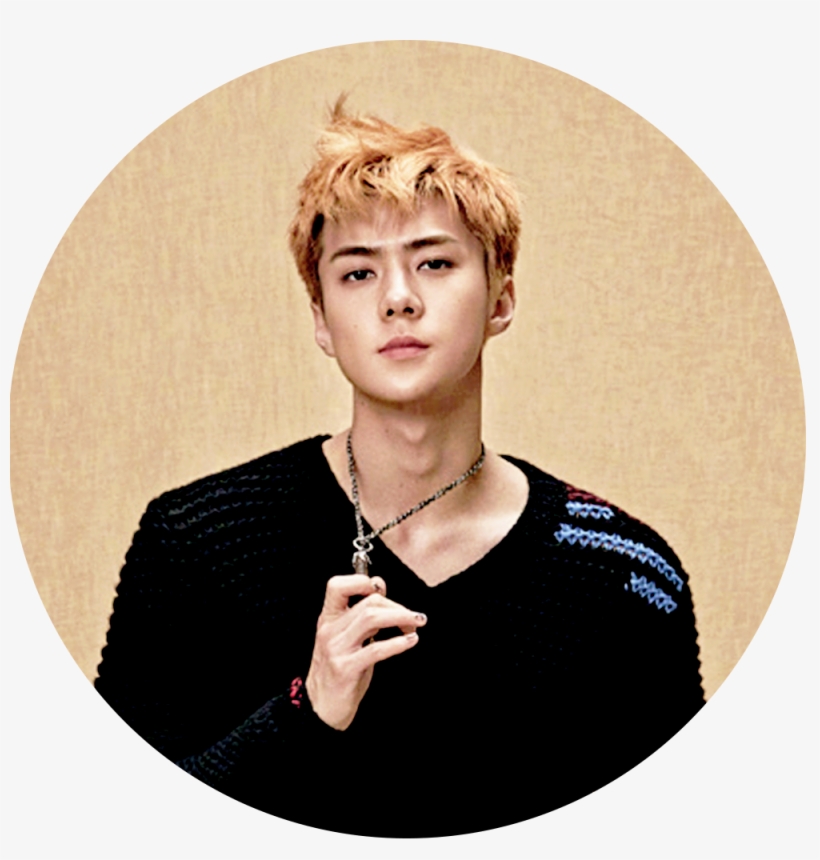 [edit/icon] Superelle - Sehun Magazine Super Elle, transparent png