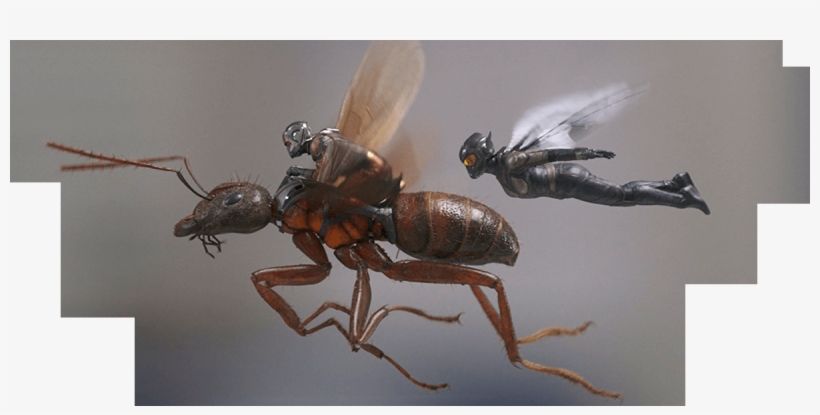 Ant Man And The Wasp - Ant Man Wasp Janet Van Dyne, transparent png