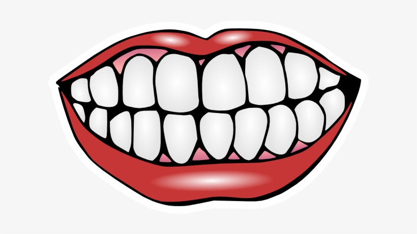 Services - Clip Art Of Teeth, transparent png