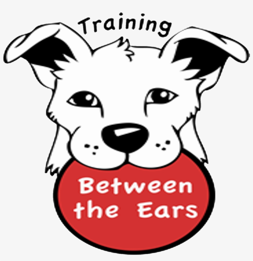 Training Between The Ears Dog Training Podcast - Dog Licks, transparent png