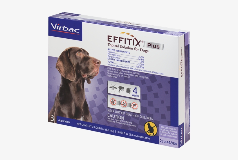 Medium - Effitix, transparent png