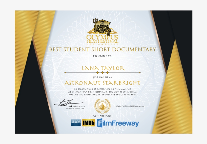 Post Navigation - Film, transparent png