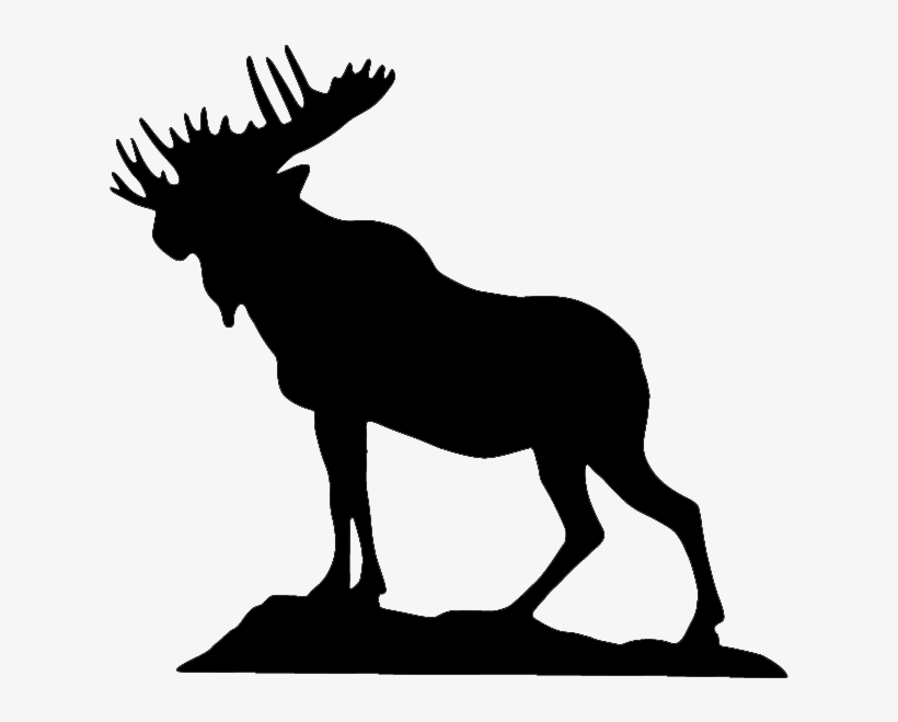 Moose Clipart Loyal Order - Transparent Moose, transparent png