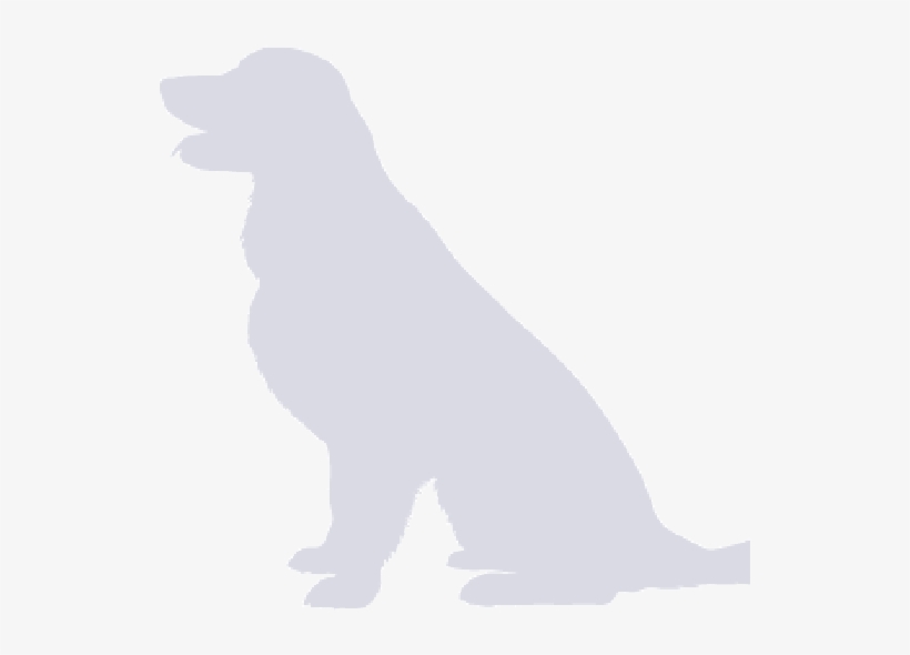 German Shepherd Dogoutline - Companion Dog, transparent png