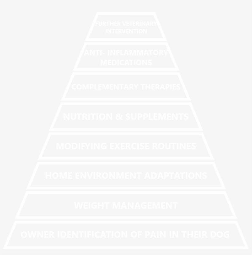Managing Arthritis Pyramid - Canine Arthritis Management, transparent png