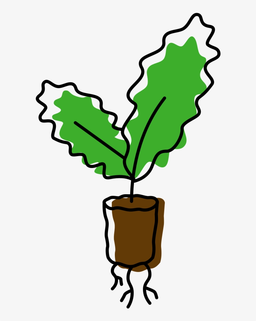 Hyper-local Future Of Food, transparent png