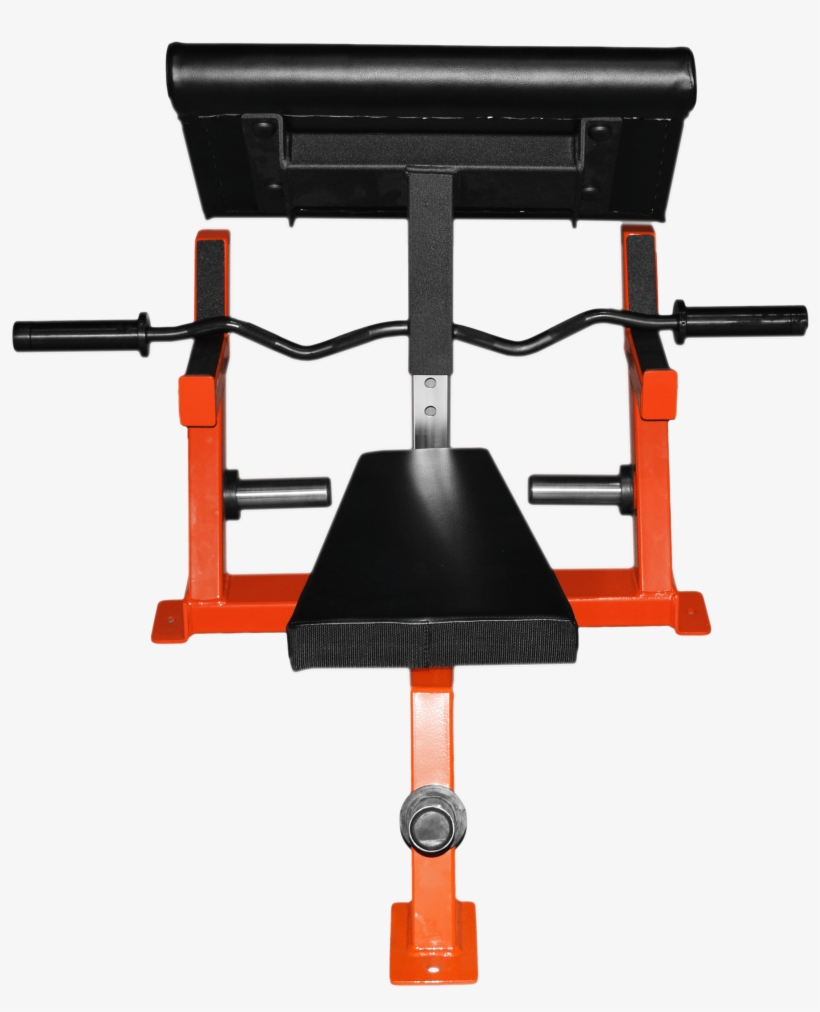 Seated Preacher Curl - Machine, transparent png