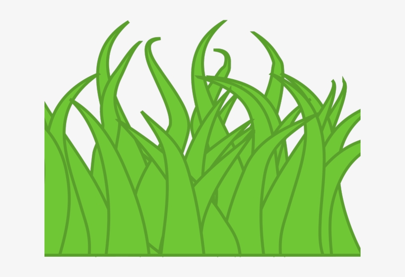 Lawn Clipart Long Grass - Drawing Of A Grass, transparent png