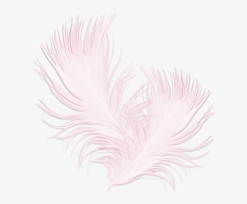 Sketch, transparent png