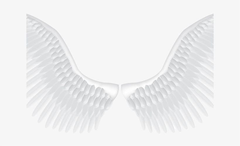 Black And White Wings - Realistic Angel Wings Vector, transparent png