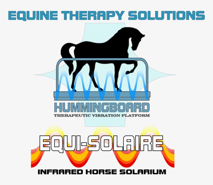 Equi-solaire - Stallion, transparent png