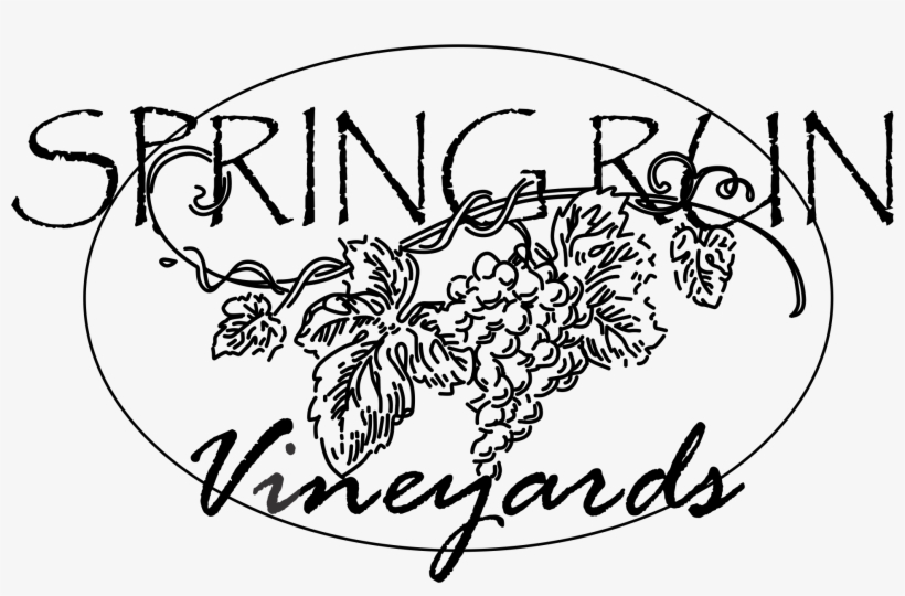 Cheese Drawing Vineyard - Illustration, transparent png