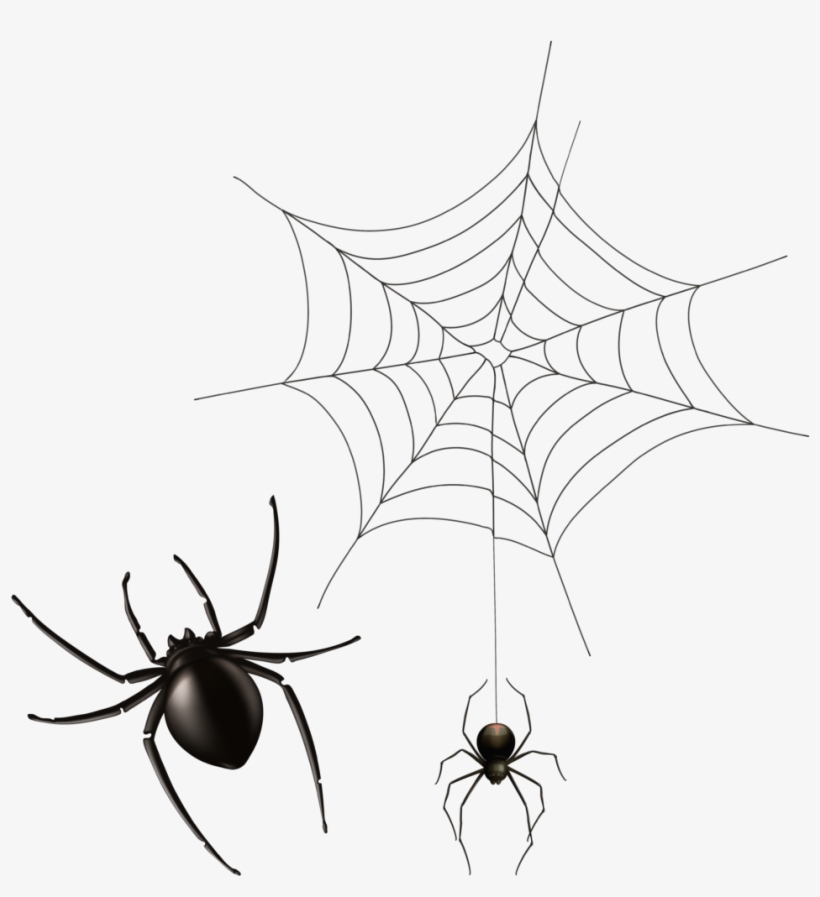 Halloween Cobwebs Clipart 7 Spider Web Png Bear - Painted Spider, transparent png