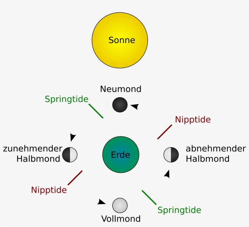 Open - Diagram, transparent png
