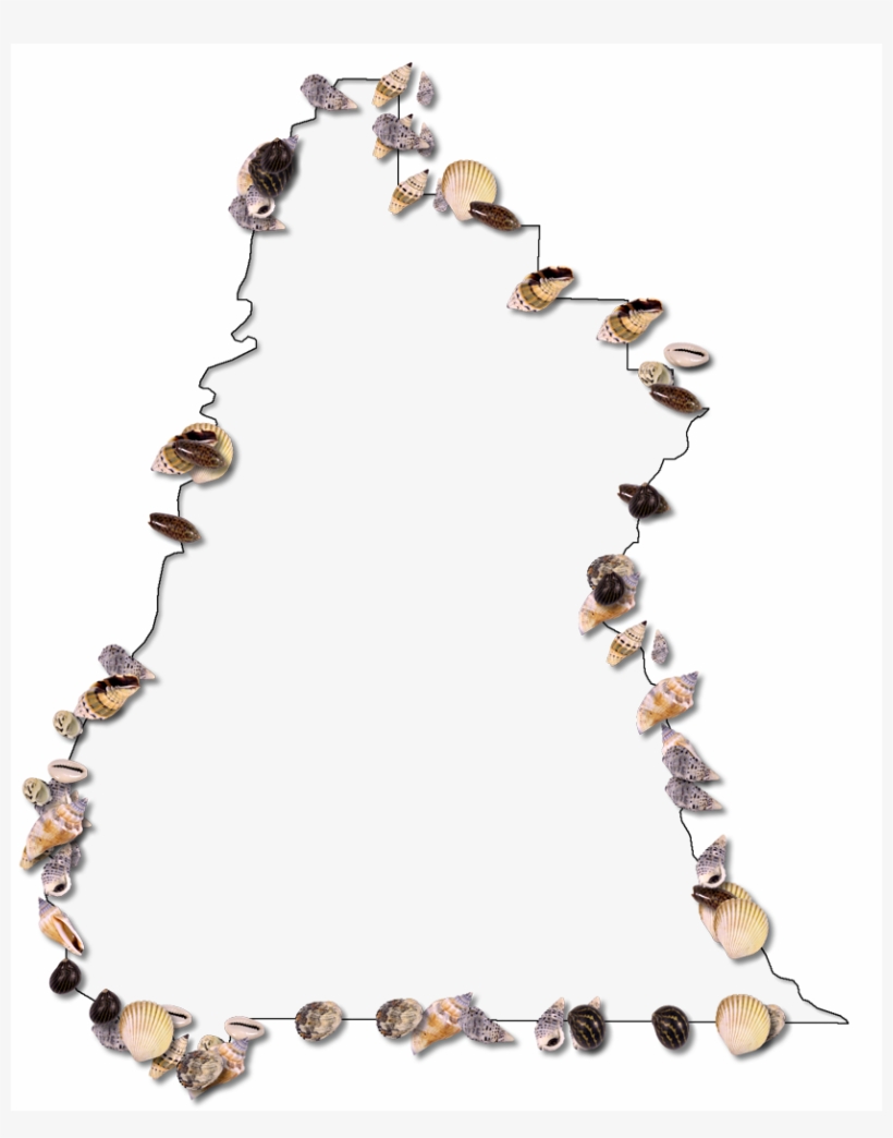 A Map Of Liberty With A Thin Black Outline, Inner Drop - Shell, transparent png