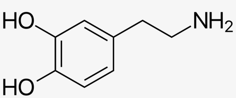 Png - Dopamine Svg, transparent png
