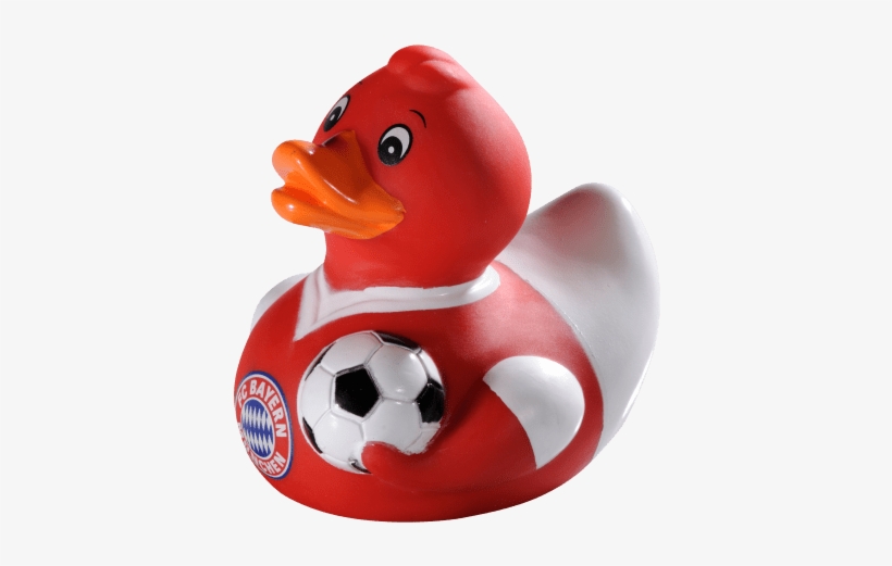 Duck, transparent png