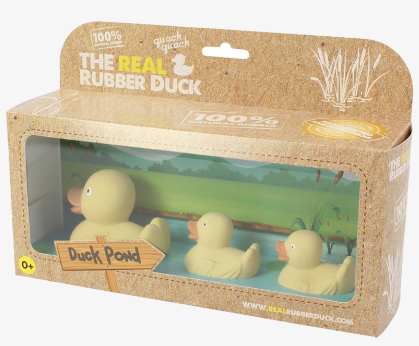 Real Rubber Duck Family, transparent png