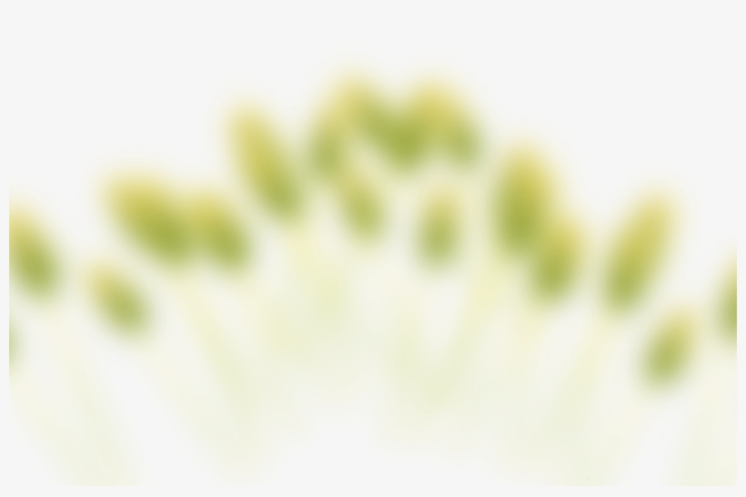 Slide B 2 - North Shore House, transparent png