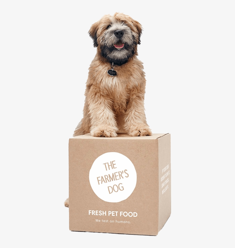 Dog Sitting On The Farmers Dog Package - Subscription Petfood, transparent png
