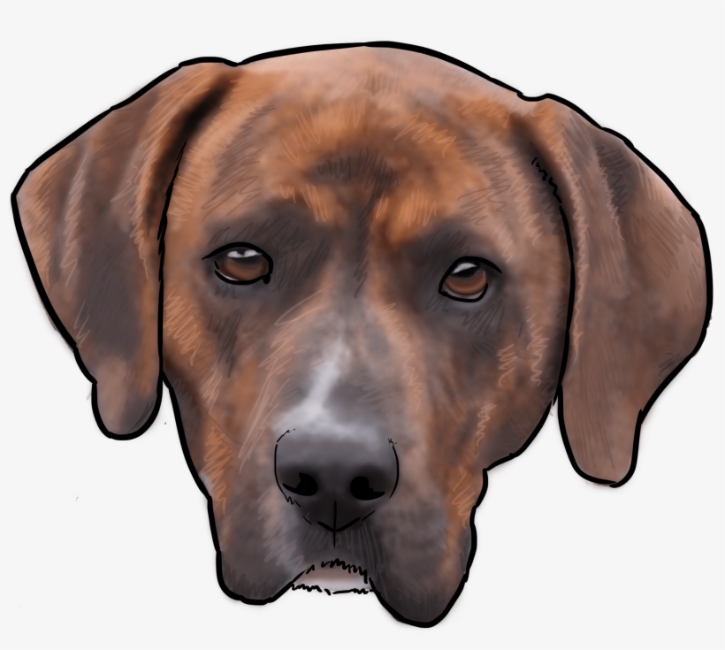 This Week On “why Are You A Dog” We Talk About The - Rhodesian Ridgeback, transparent png