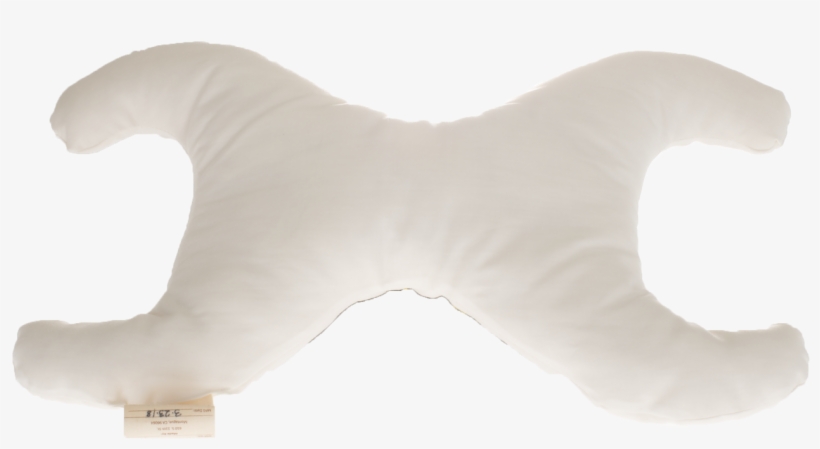 Pillow Body Is 100% Cool Oeko Cert Organic - Eagle, transparent png