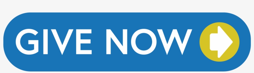 Graphic Design, transparent png