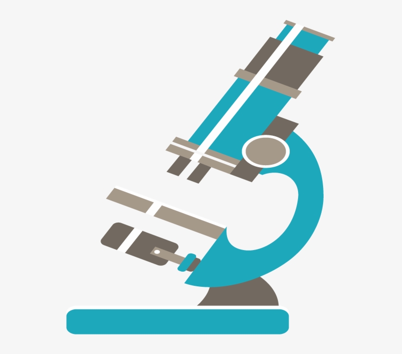 Research Science Euclidean Vector Biology - Graphic Design, transparent png