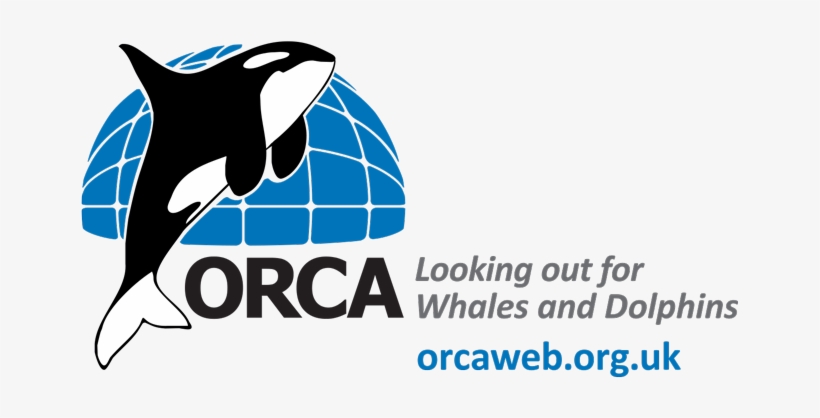 Seiche Training Is Pleased To Announce A Partnership - Orca, transparent png