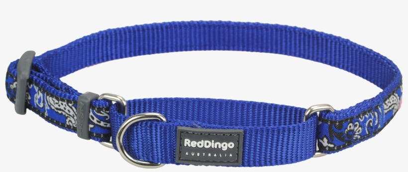 Products - Belt, transparent png