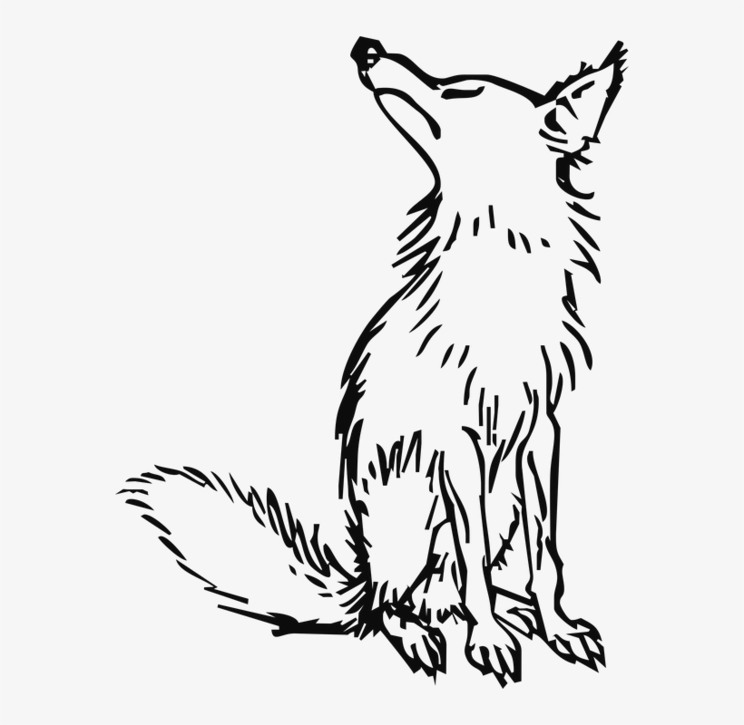 Wolf Png Clipart - Drawing The Fox And The Grapes Story, transparent png