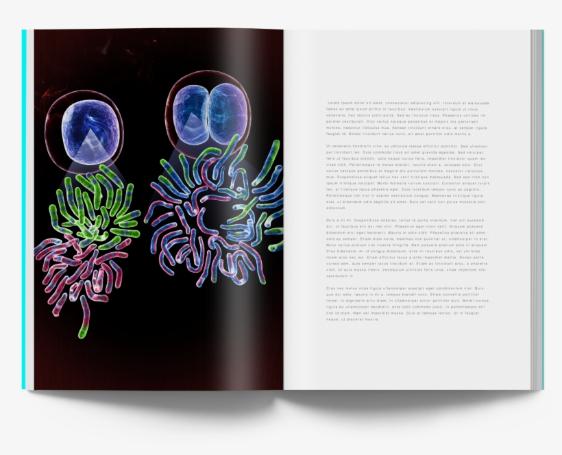 Chromosome Cover Art - Graphic Design, transparent png