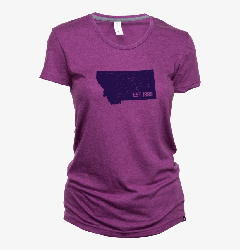 Aspinwall Est1889 Montana T Shirt Field Berry - Active Shirt, transparent png