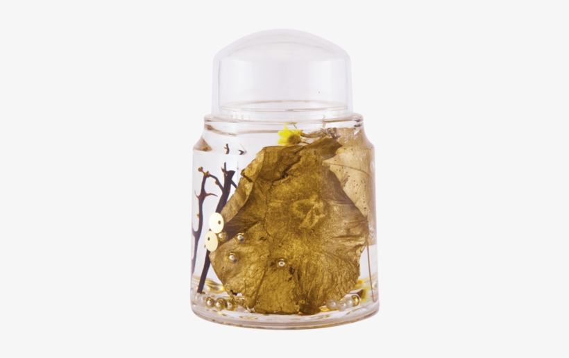 Toothpick Holder - White Tea, transparent png