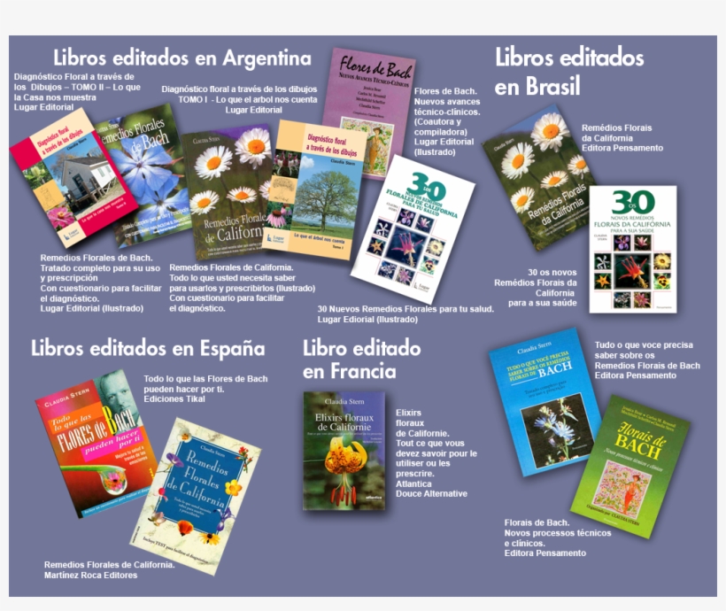 Libros - - Flyer, transparent png