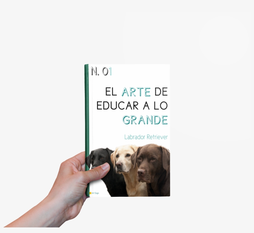 Colección De Libros - Companion Dog, transparent png