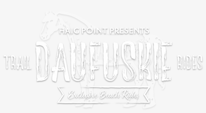 Cooper River Stables Daufuskie Island Trail Rides Exclusive - Calligraphy, transparent png