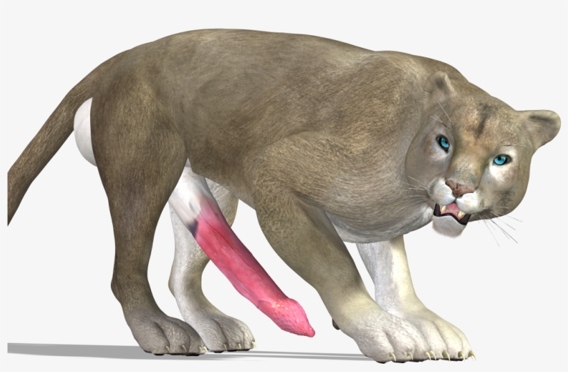 Cougar Png - Cougar, transparent png