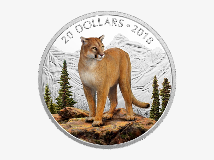 X164726 Rev-570 - Coin, transparent png