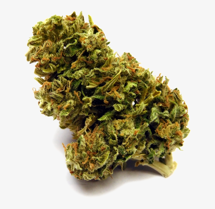 Skunk47 Nobg - Superglue Strain, transparent png