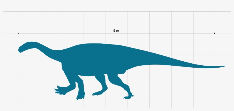 Ledumahadi Scale Chart Wip 2 - Ledumahadi Mafube, transparent png
