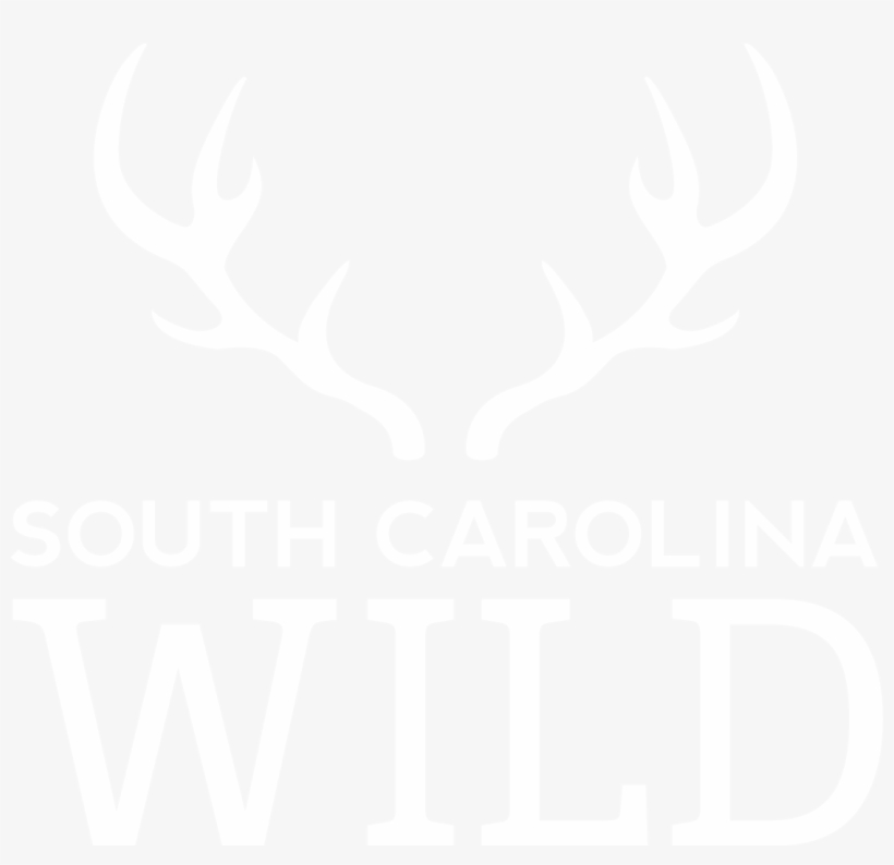 Antler, transparent png