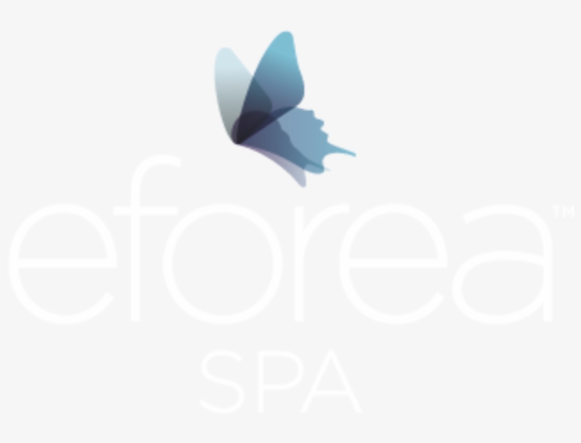 Hilton Queenstown Resort & Spa Eforea Spa At Hilton - Butterfly, transparent png