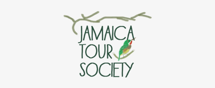 Slide1-3 - Emblem, transparent png