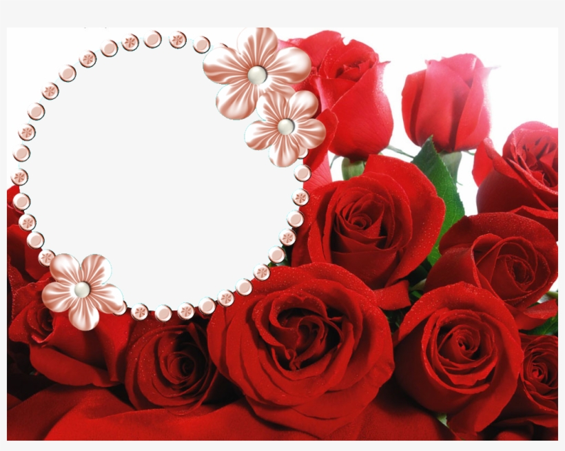 Marcos Para Fotos - Callaway Gardens, transparent png